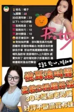 台中定點茶-橘子/160/46/?/D