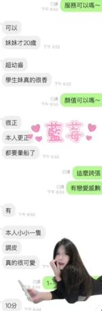 雲林定點茶-藍莓/158/44/20/D