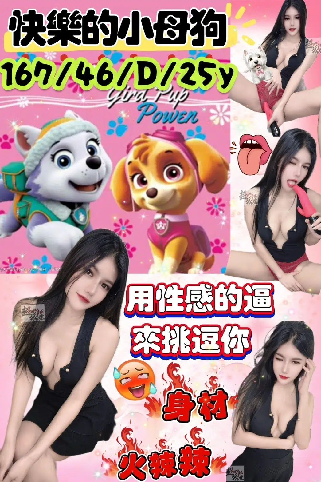 台北定點茶-快樂小母狗/167/46/25/D 台北定點茶-快樂小母狗/167/46/25/D