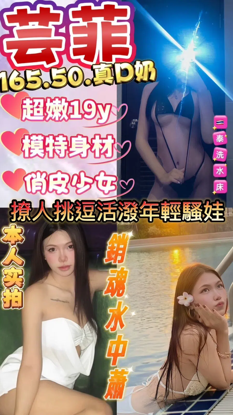 新竹定點茶-芸菲/165/50/19/D 新竹定點茶-芸菲/165/50/19/D