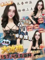 雲林定點茶-大冰奶/157/49/23/G