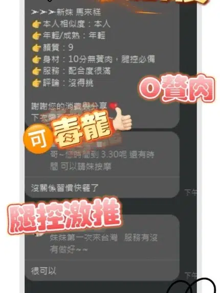 桃園定點茶-馬來糕/162/43/24/C