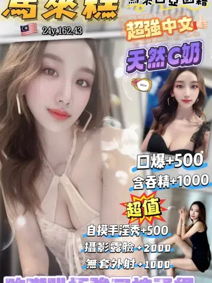 桃園定點茶-馬來糕/162/43/24/C