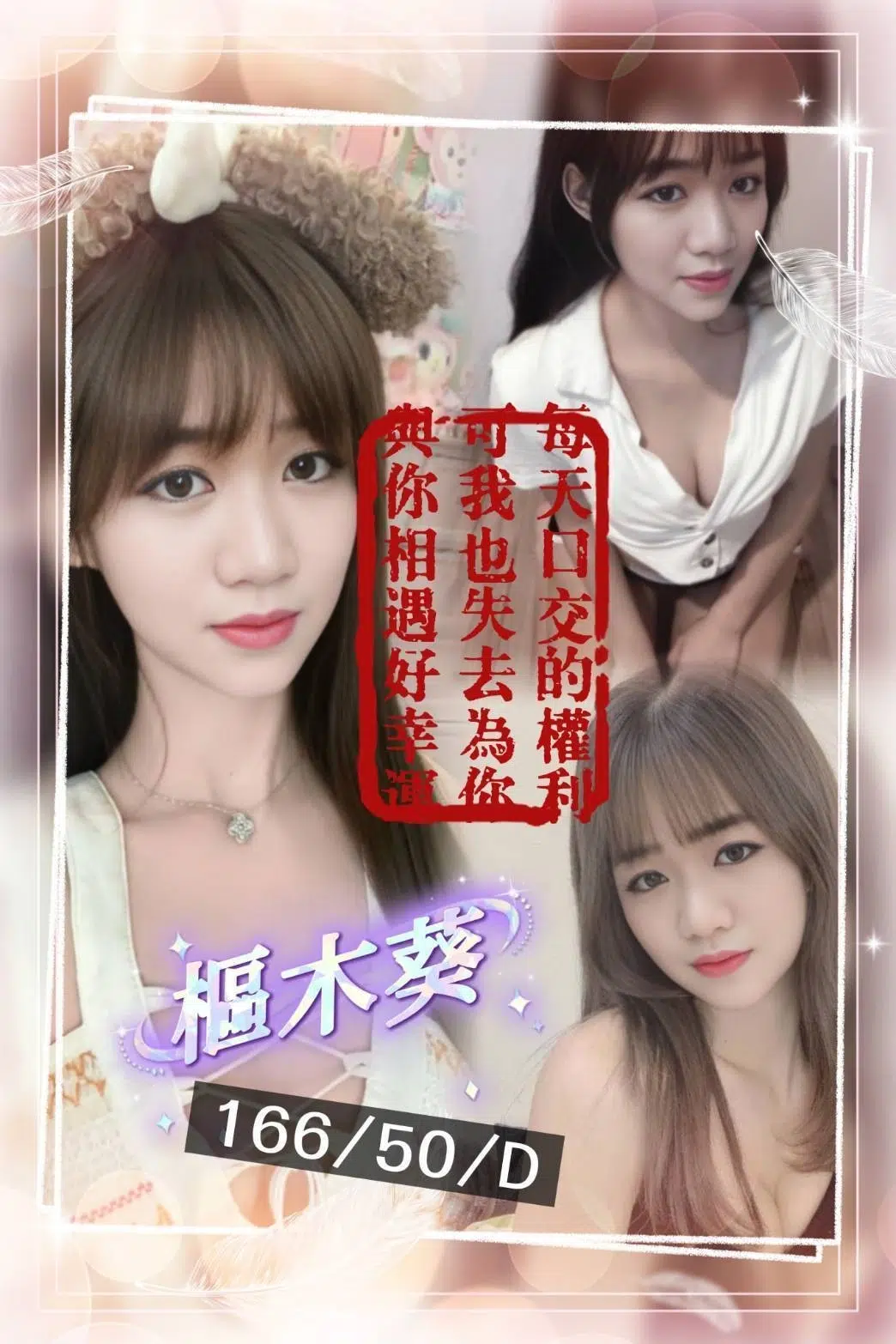 桃園定點茶-樞木葵/166/50/?/D 桃園定點茶-樞木葵/166/50/?/D