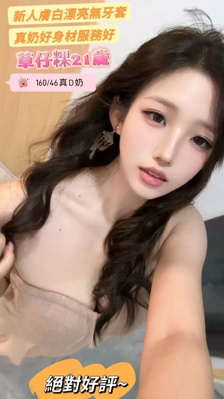 台南定點茶-草仔粿/160/46/21/D 台南定點茶-草仔粿/160/46/21/D