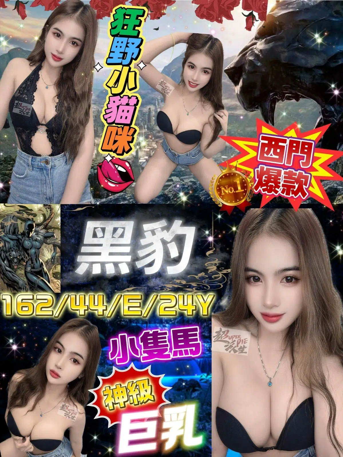 台北定點茶-黑豹/162/44/24/E 台北定點茶-黑豹/162/44/24/E