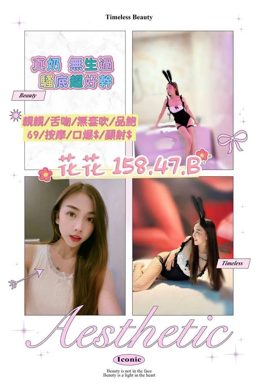 桃園定點茶-花花/158/47/?/B 桃園定點茶-花花/158/47/?/B