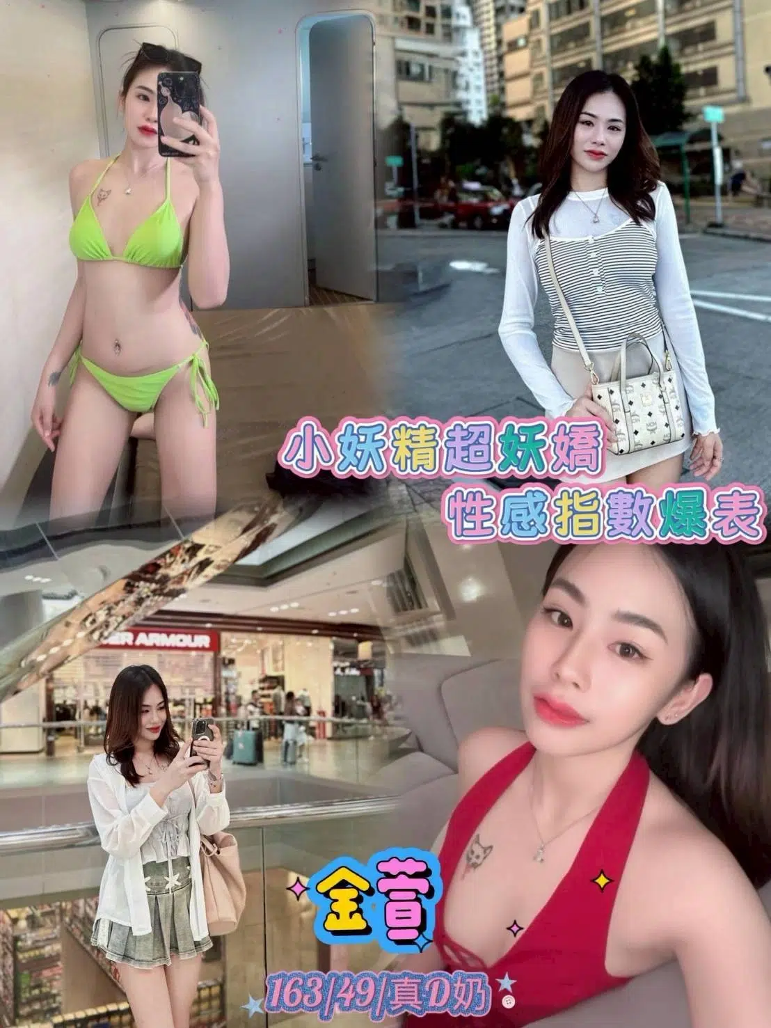 台北定點茶-金萱/163/49/23/D 台北定點茶-金萱/163/49/23/D