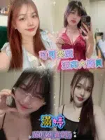 台北定點茶-滿婷/160/49/21/D