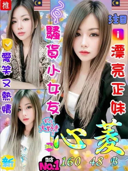 台中定點茶-心菱/160/48/25/B