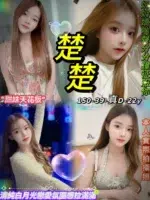 台北定點茶-楚楚/150/39/22/D