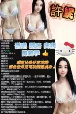 桃園定點茶-許妮/162/47/23/G