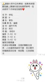 新北定點茶-米粒/163/46/22/D