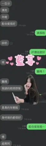 雲林定點茶-藍莓/158/44/20/D