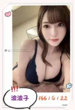 台北外送茶-波波子/166/?/22/G