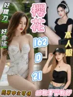 台北定點茶-櫻花/162/?/21/D