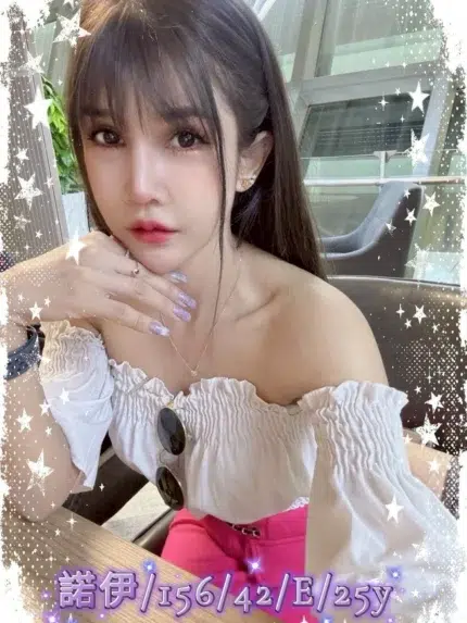 嘉義定點茶-諾伊/156/42/25/E