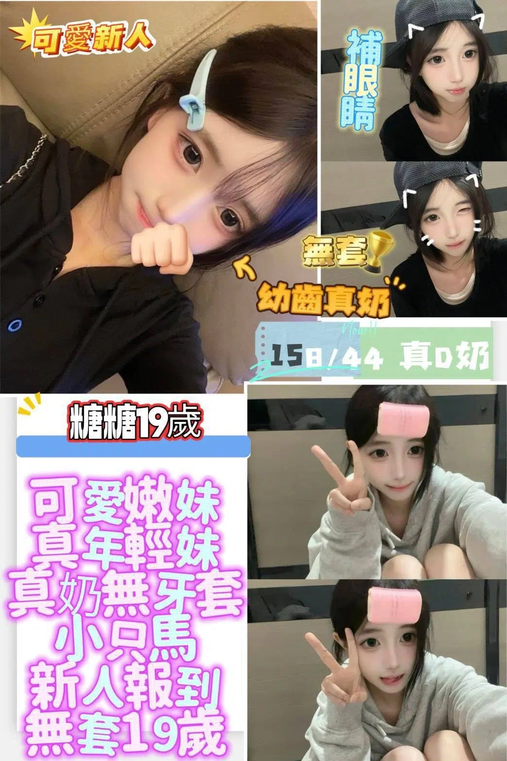 台南定點茶-糖糖/158/44/19/D 台南定點茶-糖糖/158/44/19/D