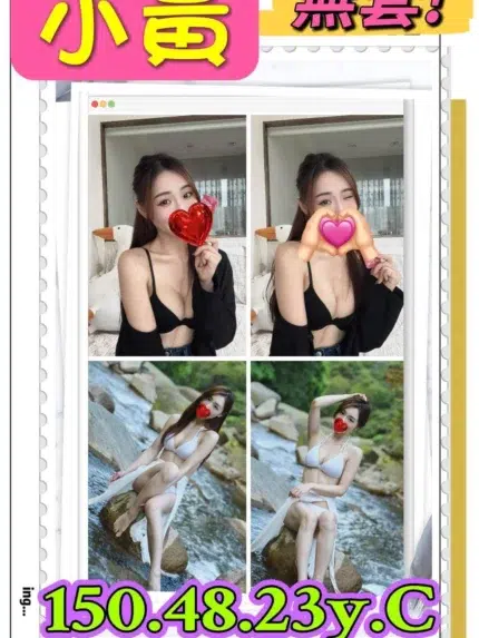 新北定點茶-小黃/150/48/23/C