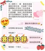 台中定點茶-芸菲/155/42/19/D