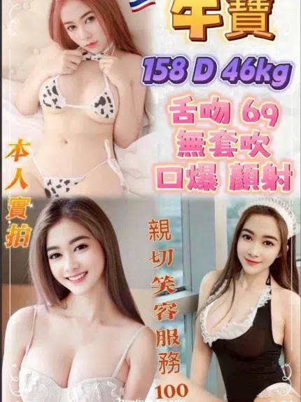 新北定點茶-牛寶/158/46/24/D