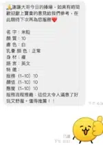 新北定點茶-米粒/163/46/22/D