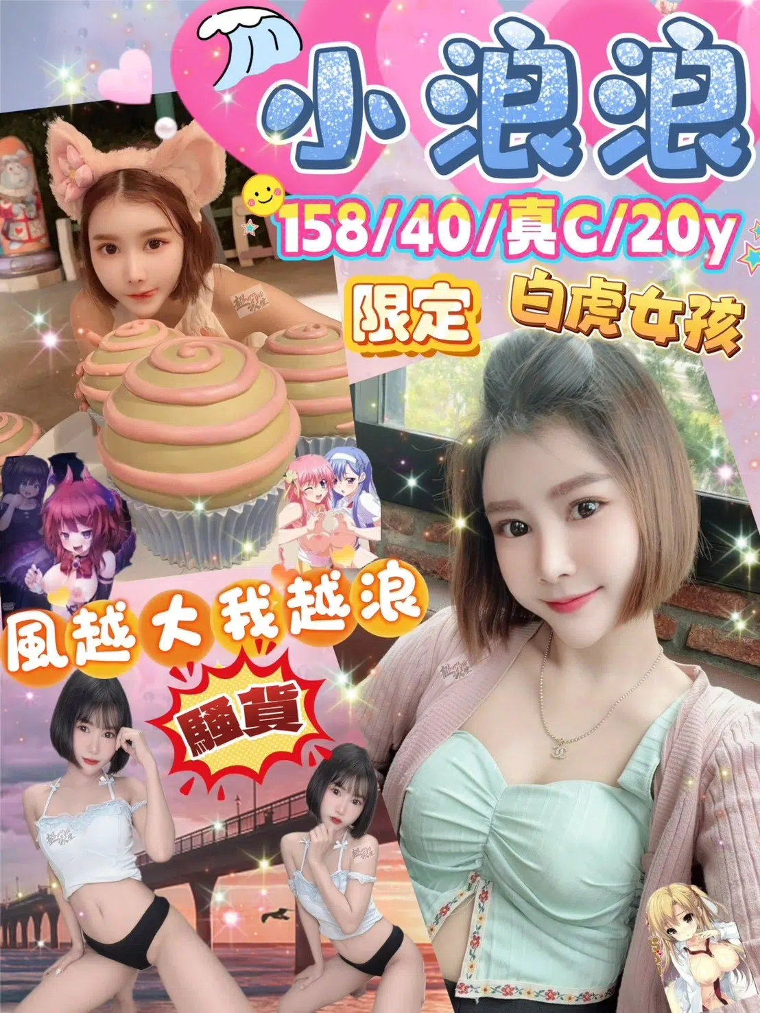 台北定點茶-小浪浪/158/40/20/C 台北定點茶-小浪浪/158/40/20/C