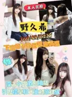 新竹定點茶-野久希/160/48/22/D