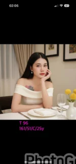 嘉義定點茶-T96/161/51/25/C