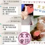 台北定點茶-文文/167/?/25/D