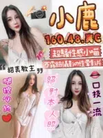 苗栗定點茶-小鹿/160/48/?/C