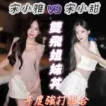 台南定點茶-宋小甜/160/43/20/E