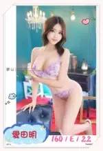 台中外送茶-愛田明/160/?/22/E