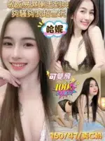 台南定點茶-哈妮/160/47/21/C