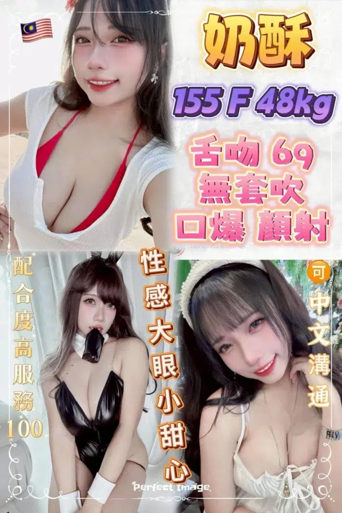 台北定點茶-奶酥/155/48/?/F