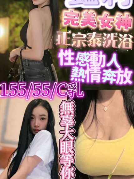 新竹定點茶-艷莉/155/44/24/C