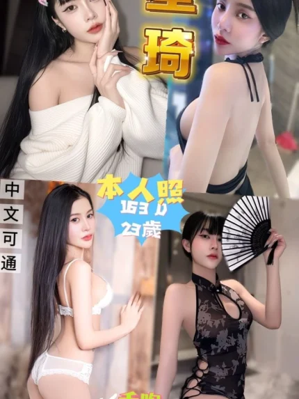 新北定點茶-星琦/163/45/23/D