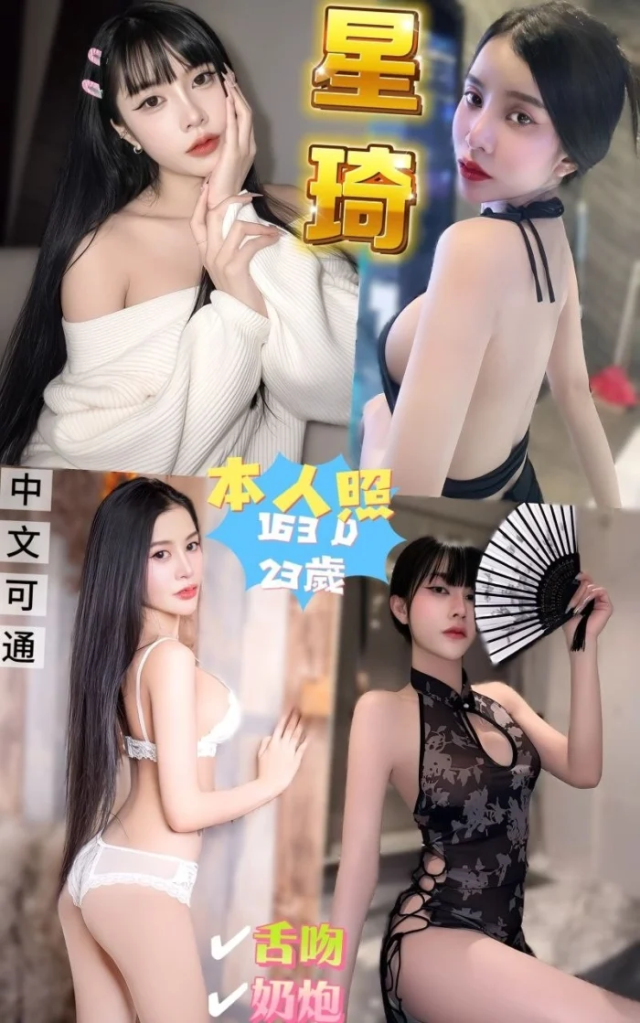 新北定點茶-星琦/163/45/23/D 新北定點茶-星琦/163/45/23/D