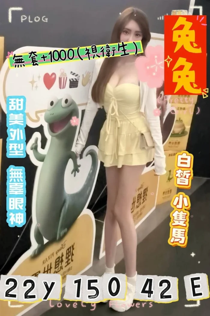 桃園外送茶-兔兔/150/42/22/E