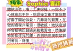 台北定點茶-Sophia/162/46/22/D