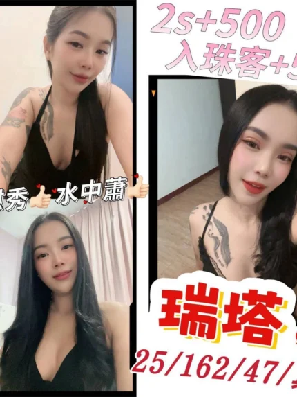 澎湖定點茶-瑞塔/162/47/25/D