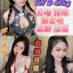 新北定點茶-薇妮/167/47/23/D