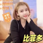 台南定點茶-比菲多/152/41/21/D