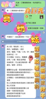 高雄定點茶-真奶妹/155/43/20/G