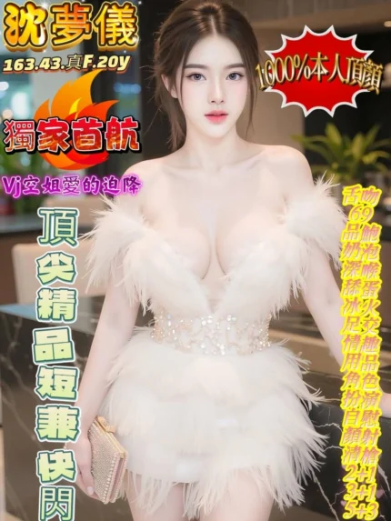 高雄定點茶-沈夢儀/163/43/20/F
