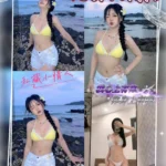 桃園定點茶-小果寶/156/43/20/D