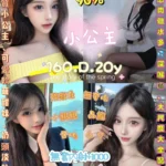 新北定點茶-小公主/160/48/20/D