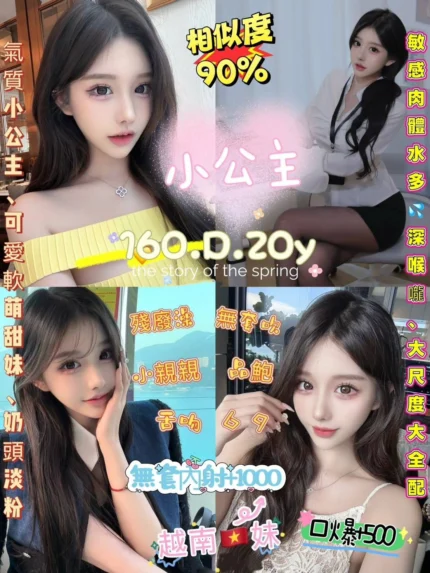 新北定點茶-小公主/160/48/20/D