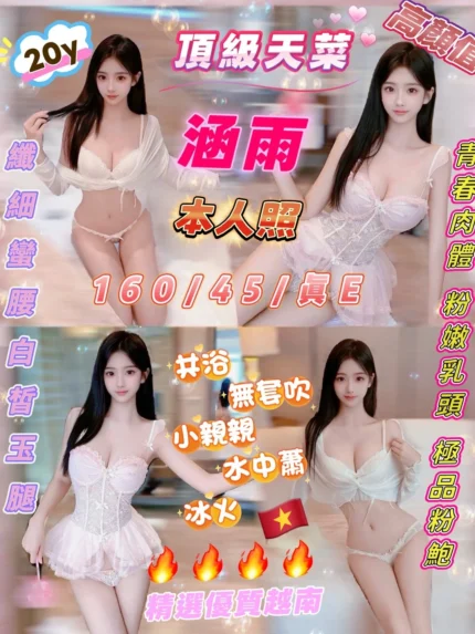 新竹定點茶-涵雨/160/45/20/E