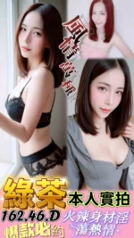 台中定點茶-綠茶/162/46/?/D